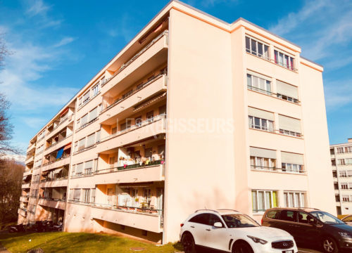 Commerce/Industrie To rent à Meyrin