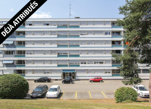 Appartement à louer à Meyrin