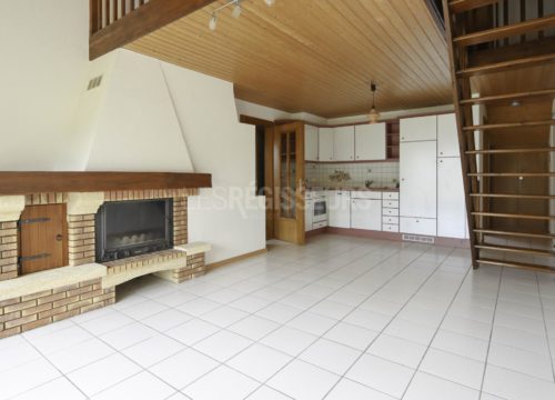 Appartement To sell à Rhône / Arve