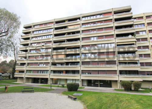 Place de parking à louer à Meyrin