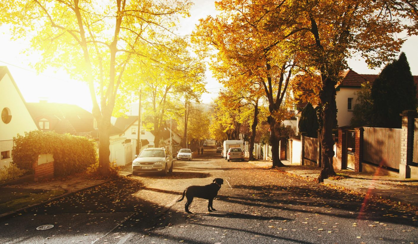Guide pour bien choisir son quartier avant d’acheter