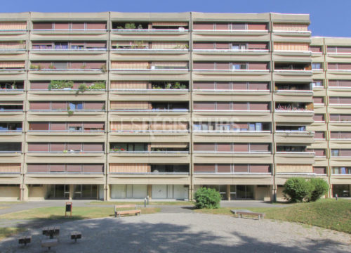 Appartement à louer à Meyrin