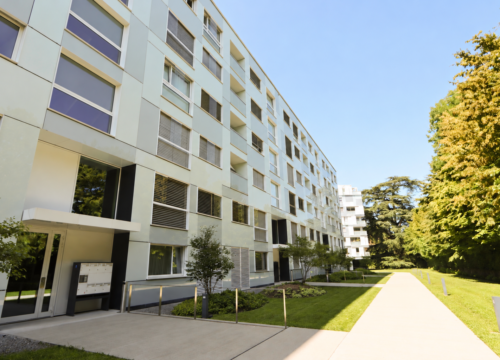 Appartement To rent à Malagnou